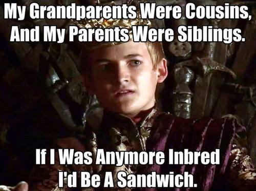game-of-thrones-joffrey-inbred-joffrey-cersi-jamie-lannister-meme-funny-meme-addictedtoeverything-ate